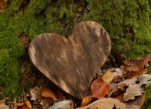 A natural gravesite marked by a wooden heart