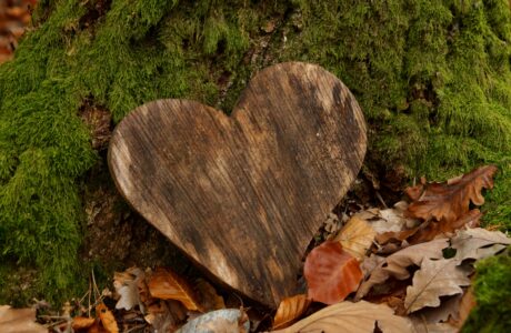 A natural gravesite marked by a wooden heart
