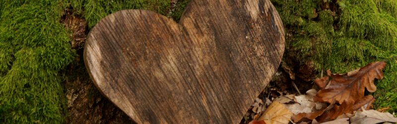 A natural gravesite marked by a wooden heart